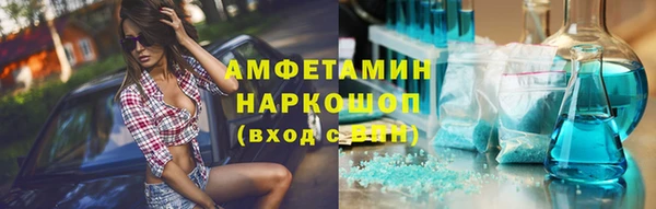индика Кинешма
