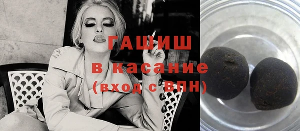 индика Кинешма