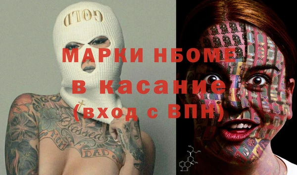 индика Кинешма