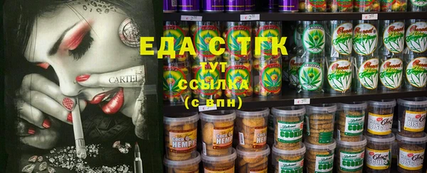 индика Кинешма