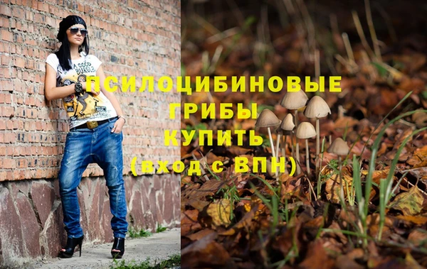 индика Кинешма