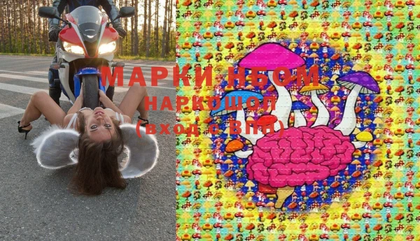 дмт Киреевск