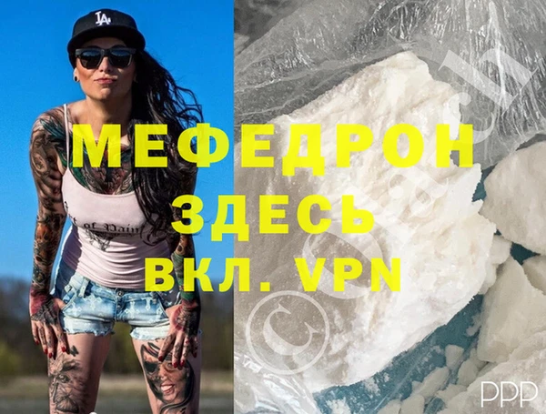 индика Кинешма