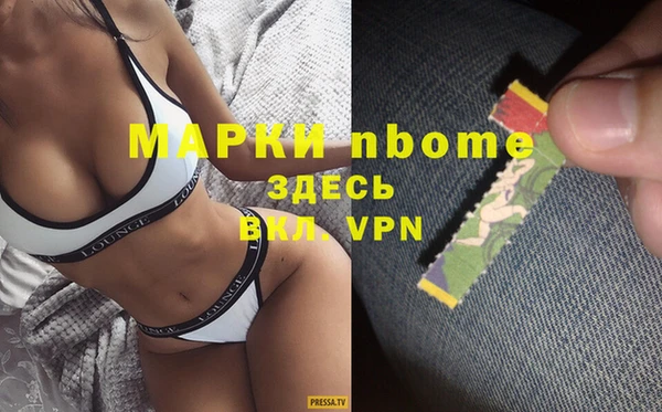 индика Кинешма