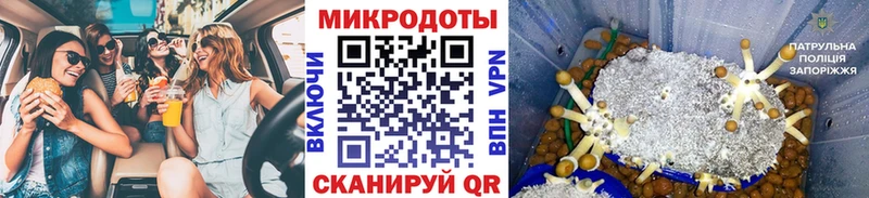 Галлюциногенные грибы Magic Shrooms  Купить где  Рошаль 